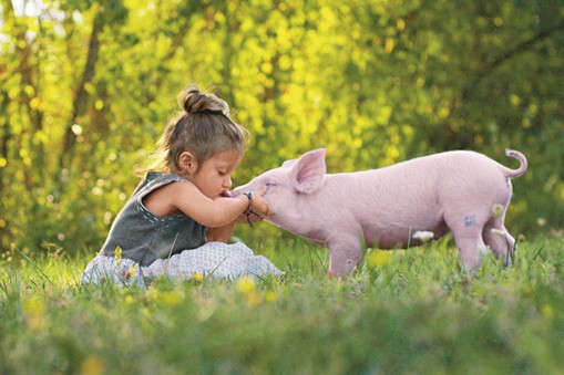 Wegetarian wciąż przybywa, także w Polse