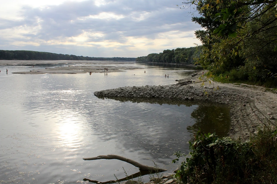 Dunav kod Apatina, arhiva