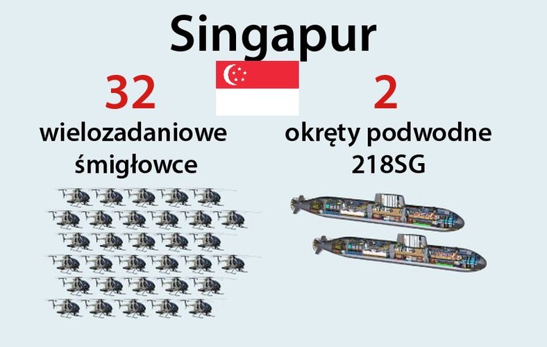 <b>32 śmigłowce wielozadaniowe.</b> Syngapur przeznaczył na ten cel 1 mld USD.<br>
<b>2 okręty podwodne 218SG </b>zamówione w niemieckim ThyssenKrupp Marine Systems. Transakcja dotycząca dwóch okrętów podwodnych jest szacowana na 1,6 mld euro z pierwszą dostawą w roku 2020 r.