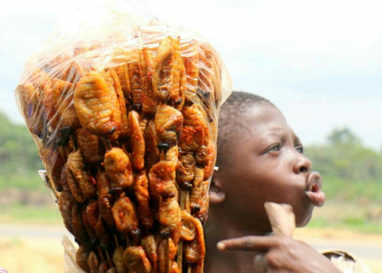 15 unconventional foods that Nigerians eat - Pulse Nigeria