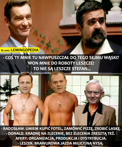 mem / źródło: Facebook/Lemingopedia