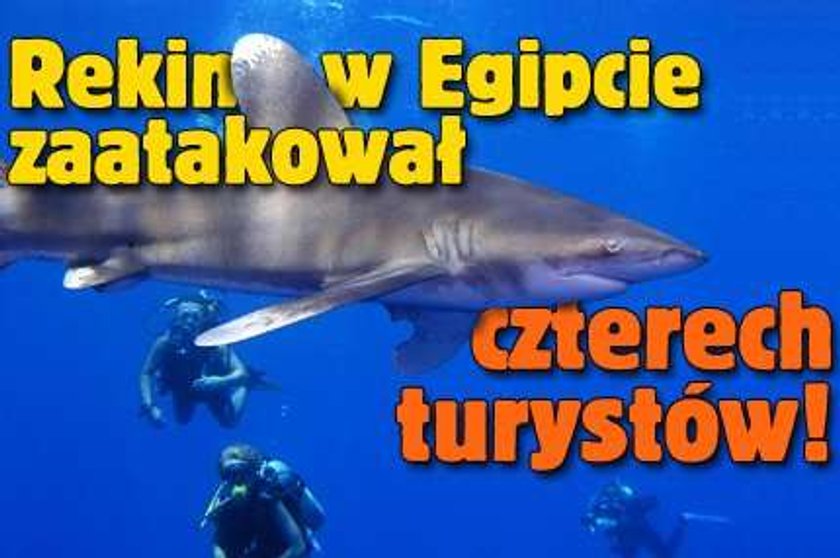 Rekin zaatakował turystów! Został złapany