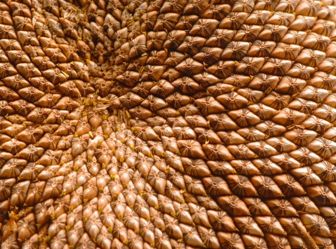 Pestki słonecznika przeciwko łzom