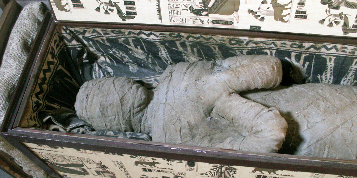 Mumia człeko zwierza