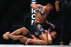 Efektowne ciosy, kopniaki i nokauty nie tylko w UFC. ZDJĘCIA