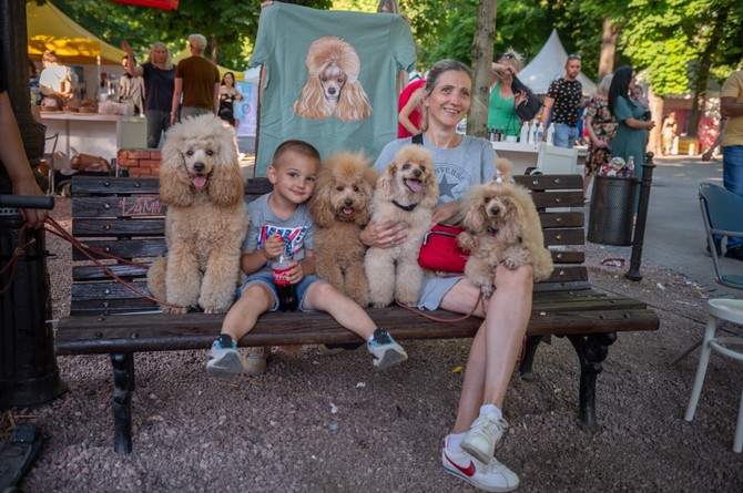 Ovde su dobrodišli i mešanci i ovako prefinjeni ljubimci