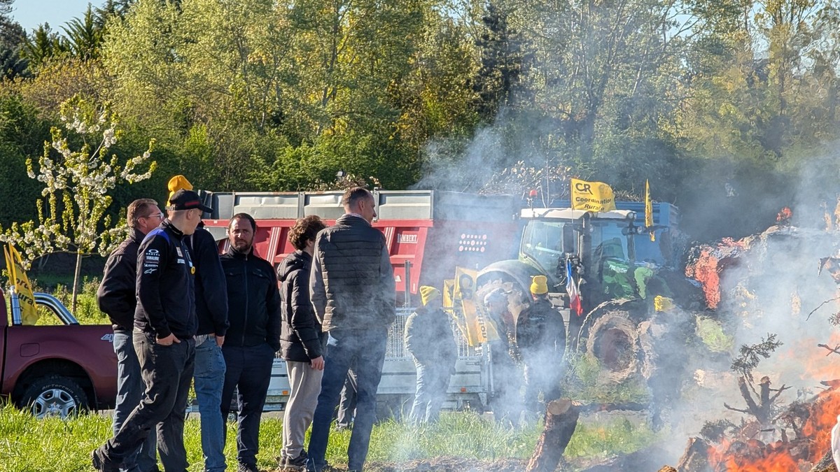 Farmeri