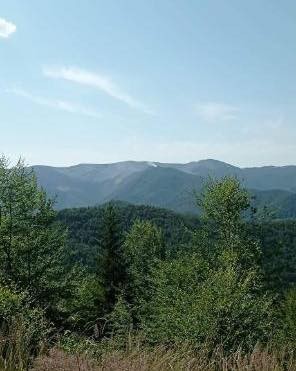 Požiar zachvátil územie Národného parku Veľká Fatra.