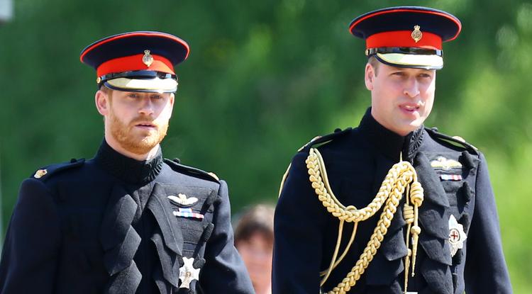Harry és Vilmos herceg újra összejöhet Fotó: Getty Images
