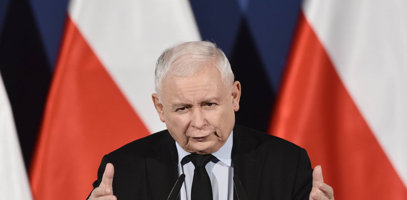 Ostra diagnoza Jarosława Kaczyńskiego. "Może niektórzy są za głupi, ale my nie"