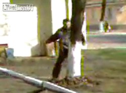 Pijany karateka wyżywa się na drzewach