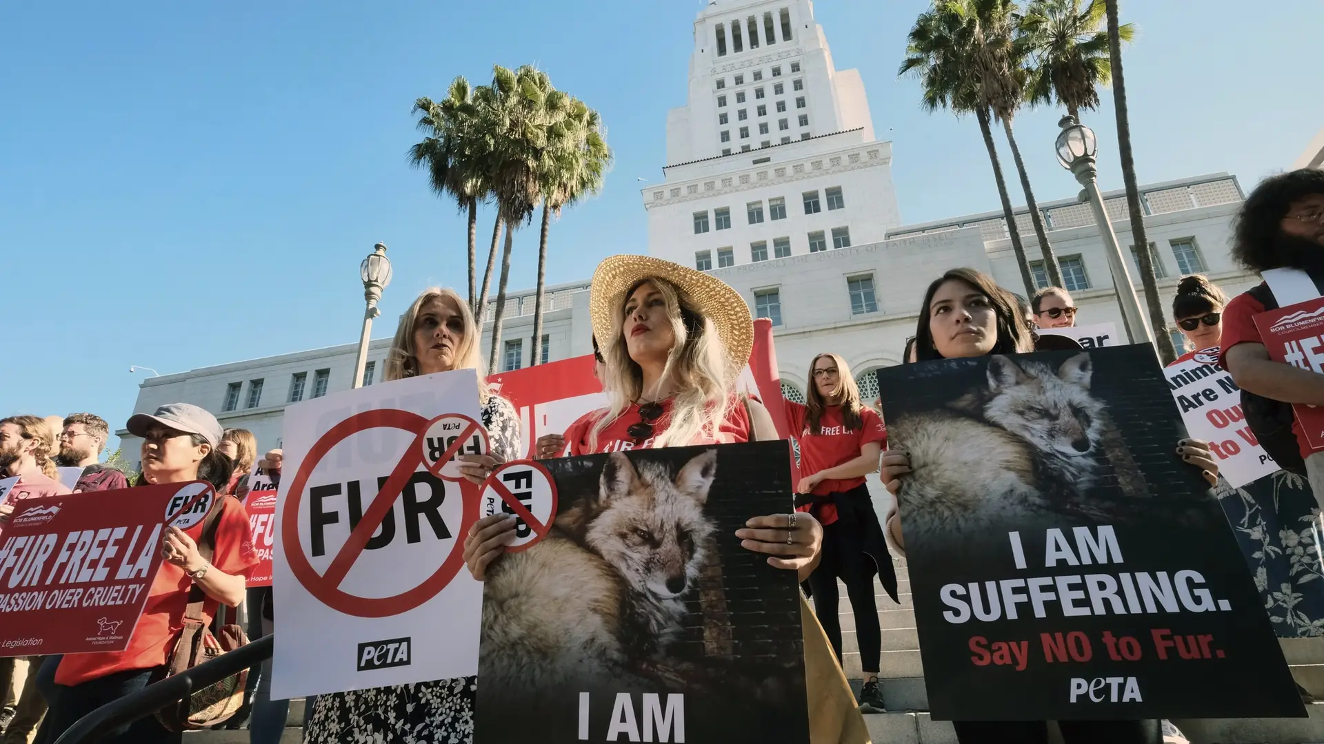 Kolejny sukces obrońców zwierząt. Los Angeles zakazuje produkcji i sprzedaży naturalnych futer