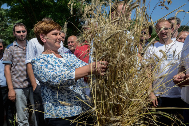 Szydło o rolnikach: Polski gospodarz nie będzie oszukiwany i wyzyskiwany