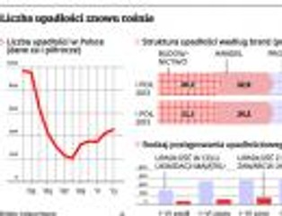 Upadłości w Polsce: oto branże, w których bankrutuje najwięcej firm