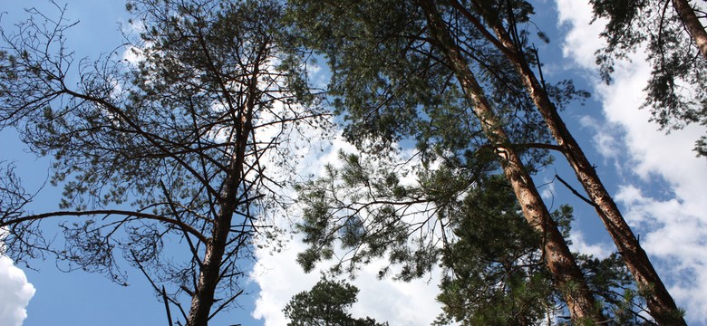 Rząd pobierze opłaty za wstęp do 11 parków narodowych. Zobacz LISTĘ