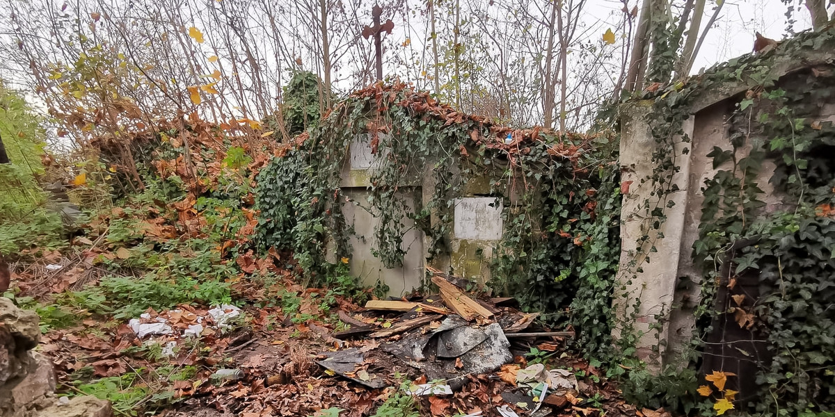 Grób powstańca Józefa Winnickiego w Gnieźnie przed uprzątnięciem.