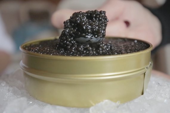 100 zbiornik&oacute;w, 50 hektar&oacute;w i ryby warte fortunę. Jak wygląda imperium kawioru?