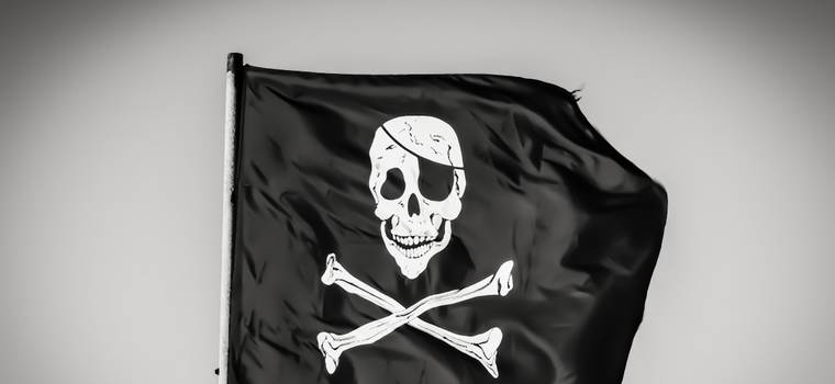 Amerykanie walczą z piractwem w Polsce. Wpisują na czarną listę duży serwis streamingowy (aktualizacja)