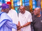 Fubara says Nigeria can’t succeed without Nigerians' support for Tinubu