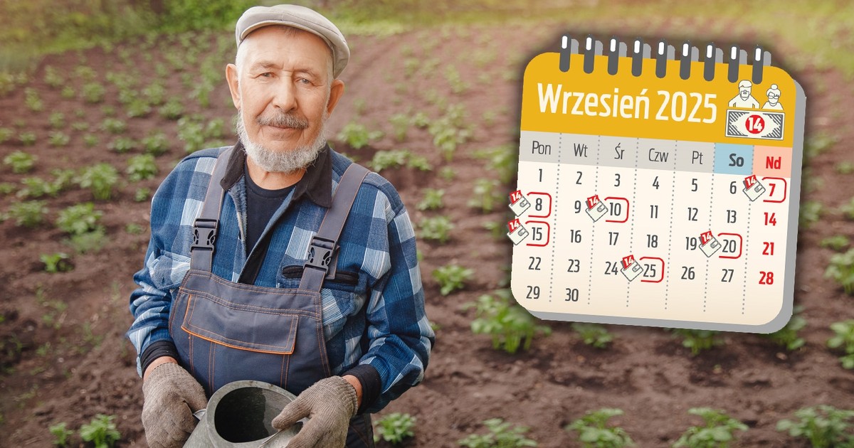 Seniorzy dostaną 1800 zł na konto. I to nie z ZUS. Już można planować wrześniowe wydatki