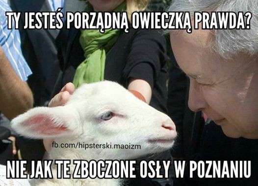 mem / Hipsterski maoizm