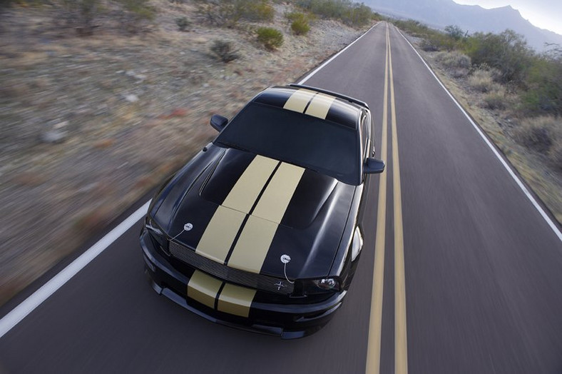 Ford Shelby GT350-H: z wypożyczalni na półki sklepowe