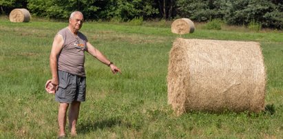 Kosiarze opamiętajcie się. W trawach, które ścinacie bytują młode zwierzęta