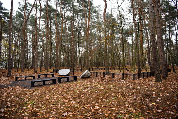 W Poznaniu powstał Las Pamięci. Umożliwia pochówek w biodegradowalnych urnach