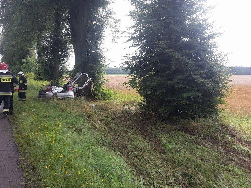 Auto zjechało z drogi i uderzyło w drzewo