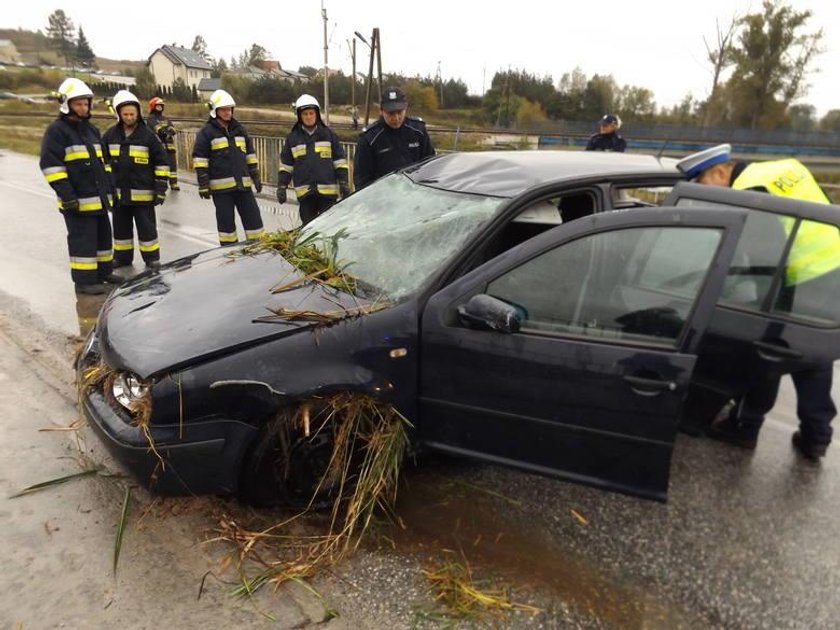 Tragedia w Wiernej Rzece. Zginęło małżeństwo