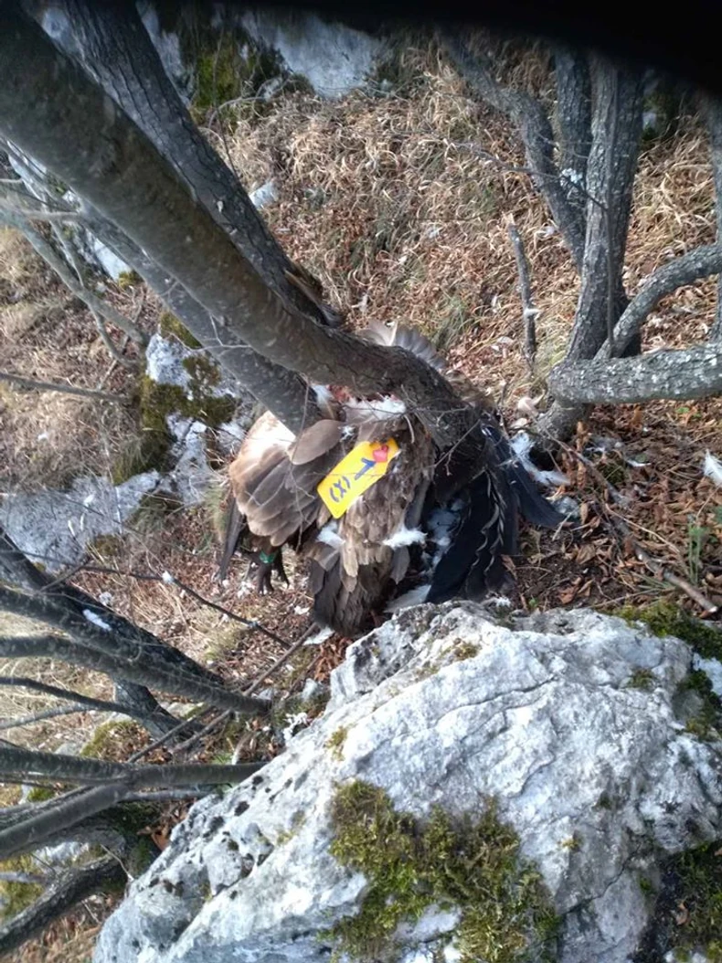 Ne zna se uzrok smrti