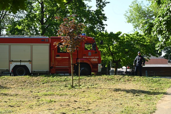BUKNUO POŽAR NA ADI CIGANLIJI Vatrogasci HITNO stigli na lice mesta