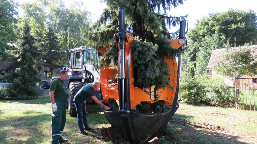 masina za presadjivanje stabla 05 foto Grad Beograd