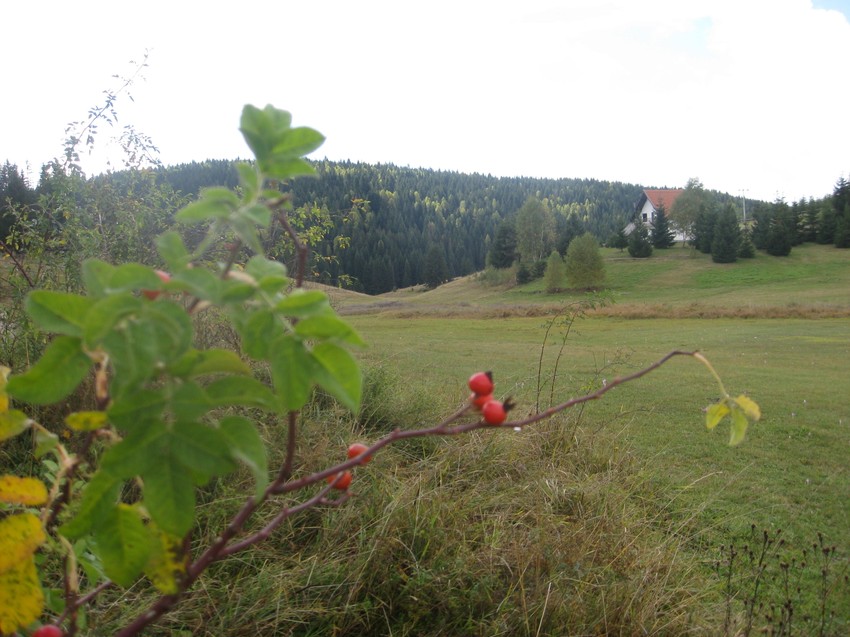 Bogatstvo: Kamena gora ima 50 izvora pitke vode