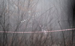 Katastrofa śmigłowca koło Pszczyny. Przesłuchano ranną kobietę