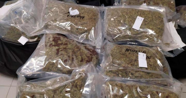 Marijuana found in cars