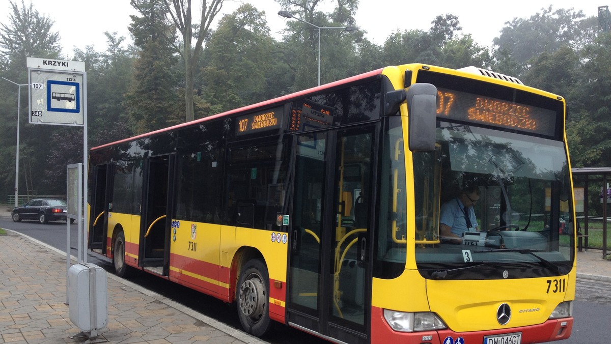 W przyszłym roku na wrocławskie ulice ma wyjechać 60 nowych autobusów. W MPK właśnie szykują się do ogłoszenia przetargu na dzierżawę pojazdów. Nowe wozy mają być klimatyzowane i niskopodłogowe – i mają zastąpić najstarsze autobusy, którymi pasażerowie jeżdżą już od prawie 20 lat.