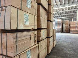 Pomimo sankcji oligarchowie zarabiają na drewnie w Polsce. DGP zapoznał się z wynikami śledztwa