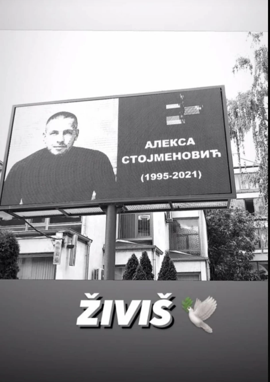 Društvne mreže preplavile poruke za Aleksu