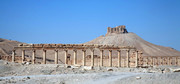 Fakhreddin's Castle (top), is pictured in the historical city of Palmyra