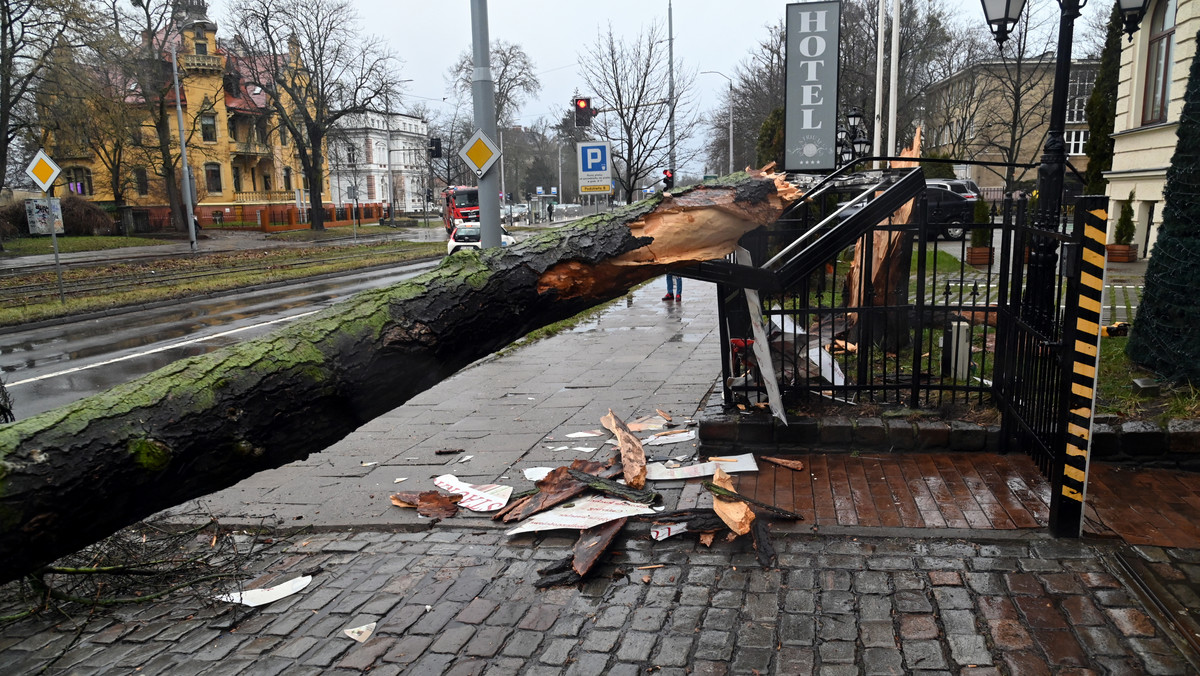 Skutki wichury w Szczecinie