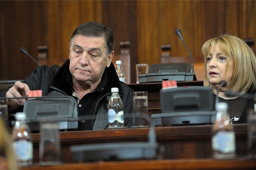 slavica milutin Skupstina Srbije 280313   Ras Foto Emil Conkic 013 preview