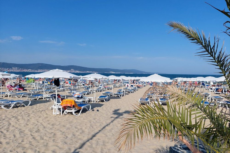 Plaża w Słonecznym Brzegu, można tu wynająć leżaki i parasole