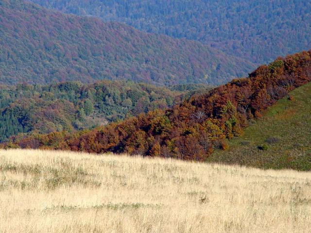 Galeria Polska - Bieszczady, obrazek 6