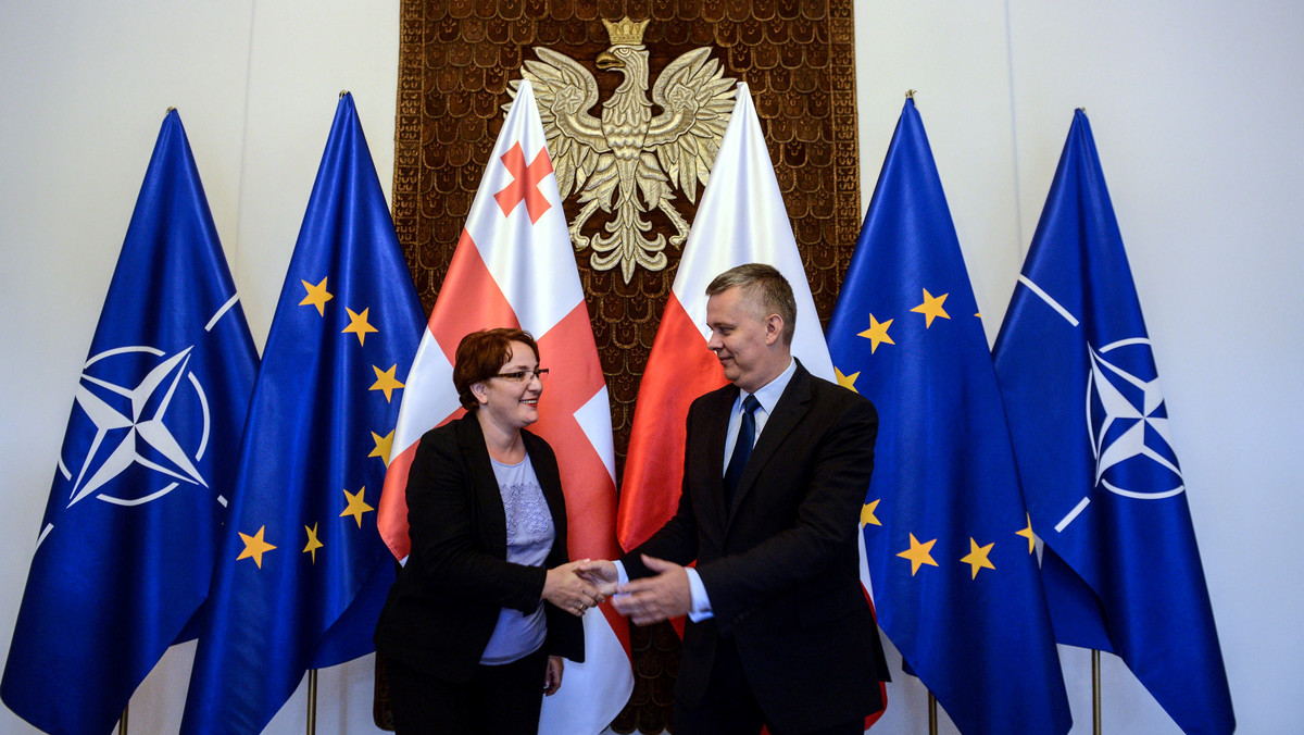 Perspektywa członkostwa Gruzji w NATO i rola Polski jako jednego z liderów w tym procesie, współpraca dwustronna i sytuacja bezpieczeństwa były tematem dzisiejszych rozmów w Warszawie wicepremiera, szefa MON Tomasza Siemoniaka z minister obrony Gruzji Tinatin Chidaszeli.