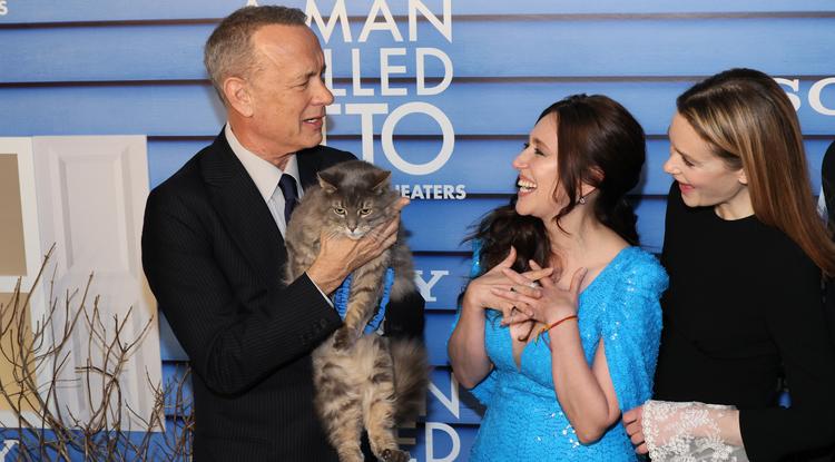 Tom Hanks, a többi színész és a főszereplő cica a New York-i vetítésen Fotó: Getty Images