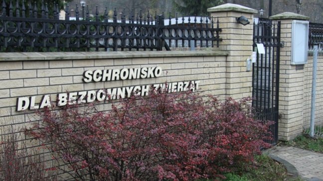 Kielce. Schronisko dla Bezdomnych Zwierząt w Dyminach