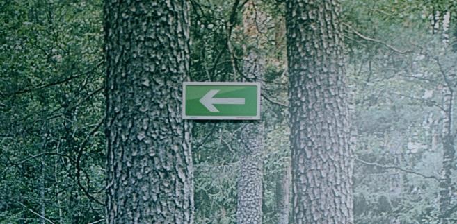 I miejsce w kategorii PRZYRODA (fotoreportaż): Jan Brykczyński, dla Sputnik Photos. Puszcza Białowieska ostatni pierwotny las w Europie, głęboko tkwi w świadomości Białorusinów. I choć przez władze nazywana jest skarbem narodowym, a jej elementy dekorują domy w pobliskich wsiach, na co dzień jest eksploatowana i traktowana użytkowo. Zdjęcia zrobiono na Białorusi na obrzeżach puszczy, w miejscowościach: Kamieniuki, Prużany, Swislocz, Porazava, Dobrowola. Maj–październik 2011