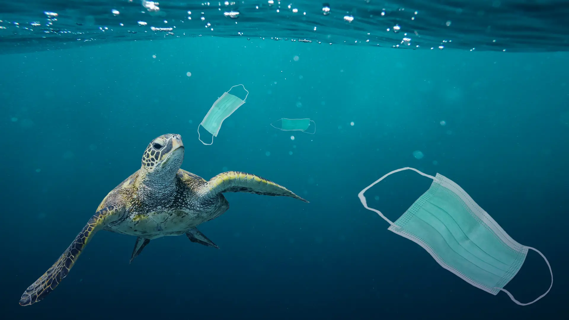 Maski i rękawiczki zaśmiecają oceany. 87 proc. plastikowych odpadów pochodzi ze szpitali