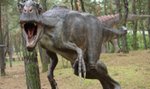 Dinozaury z Ostrowca podbijają świat!